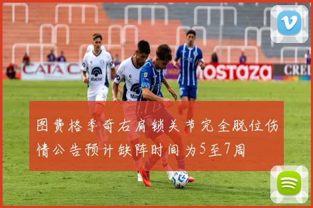 图费格季奇右肩锁关节完全脱位伤情公告预计缺阵时间为5至7周